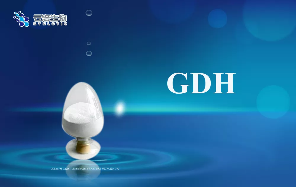 Care sunt conceptele de bază ale enzimelor?