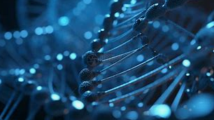 Ergotioneina: „Aurul antioxidant” în industria alimentară a sănătății