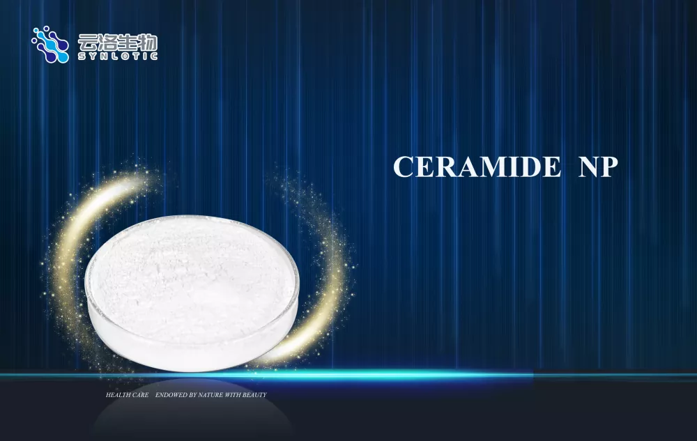 Cum susține Ceramide NP îngrijirea barierei pielii în produsele cosmetice moderne?
