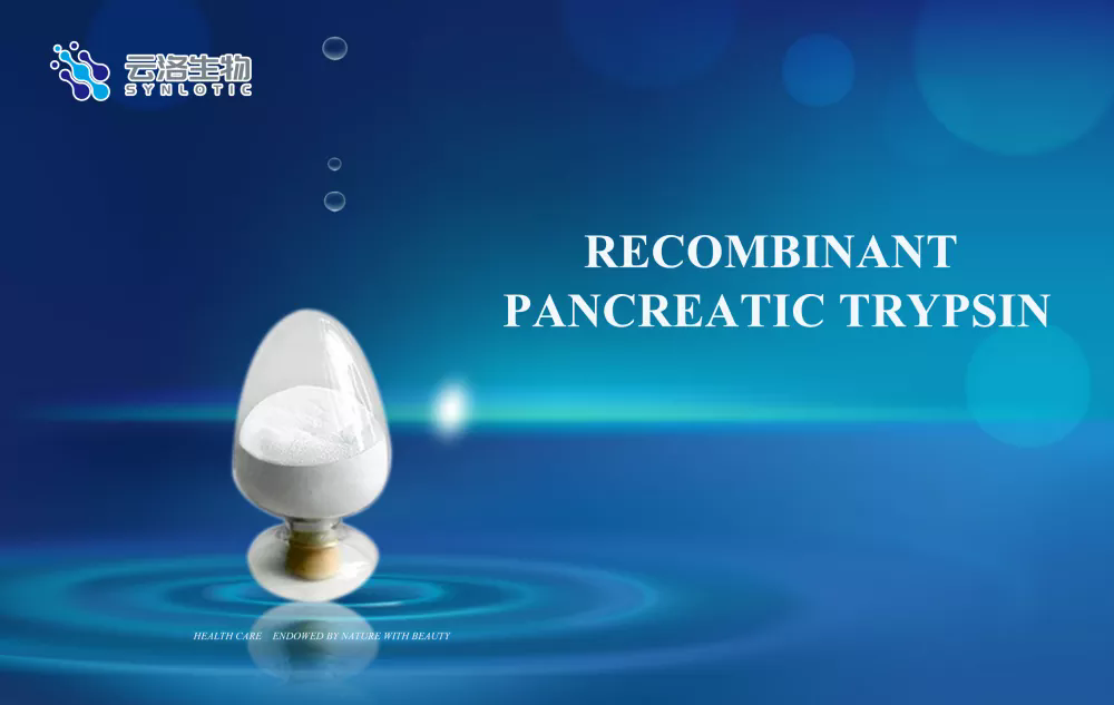 Recombinant pancreatic trypsin